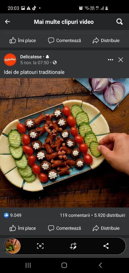 Pensiunea Ronicson Milostea 外观 照片